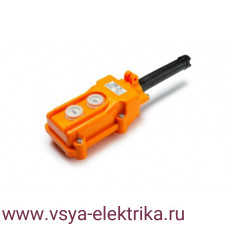 Блок управления COB-61 IP54, (2кнопки). 
