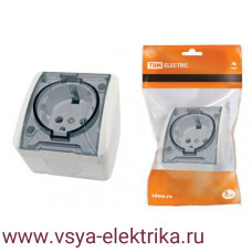 Розетка TDM Селигер белая с заземлением и прозрачной крышкой SQ1818-0007