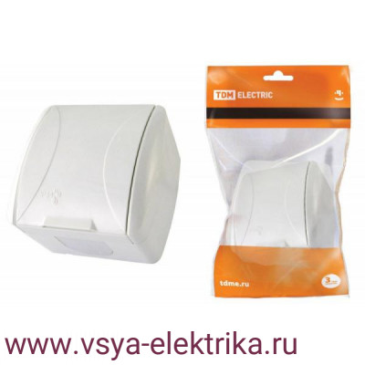Розетка TDM Селигер белая с заземлением и белой крышкой SQ1818-0013