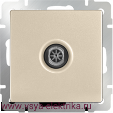 TV розетка Werkel шампань, WL11-TV, IP20